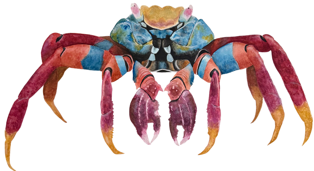 Crab Print