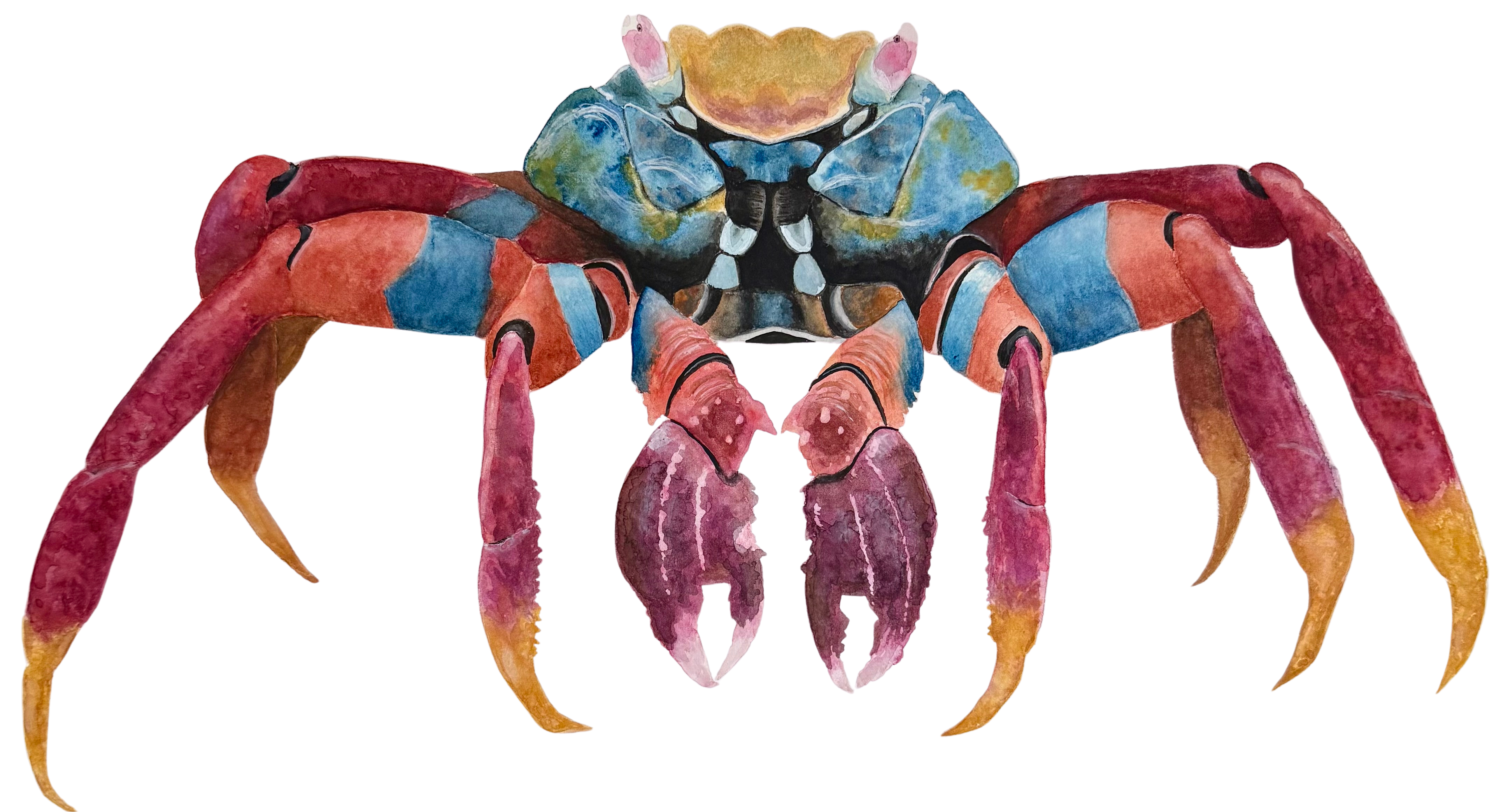 Crab Print
