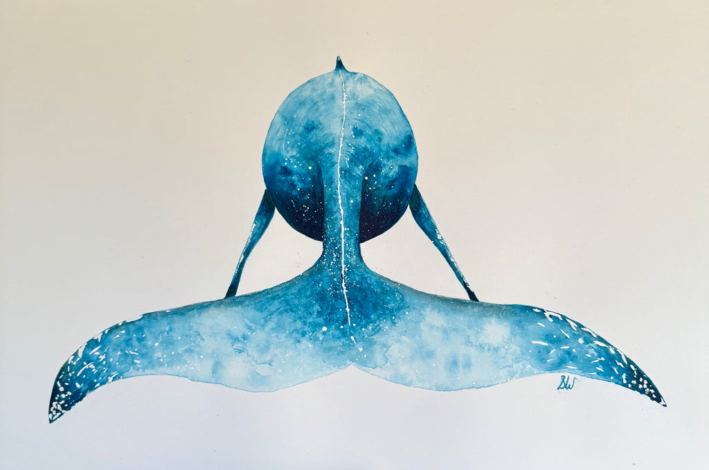 Whale Tail
