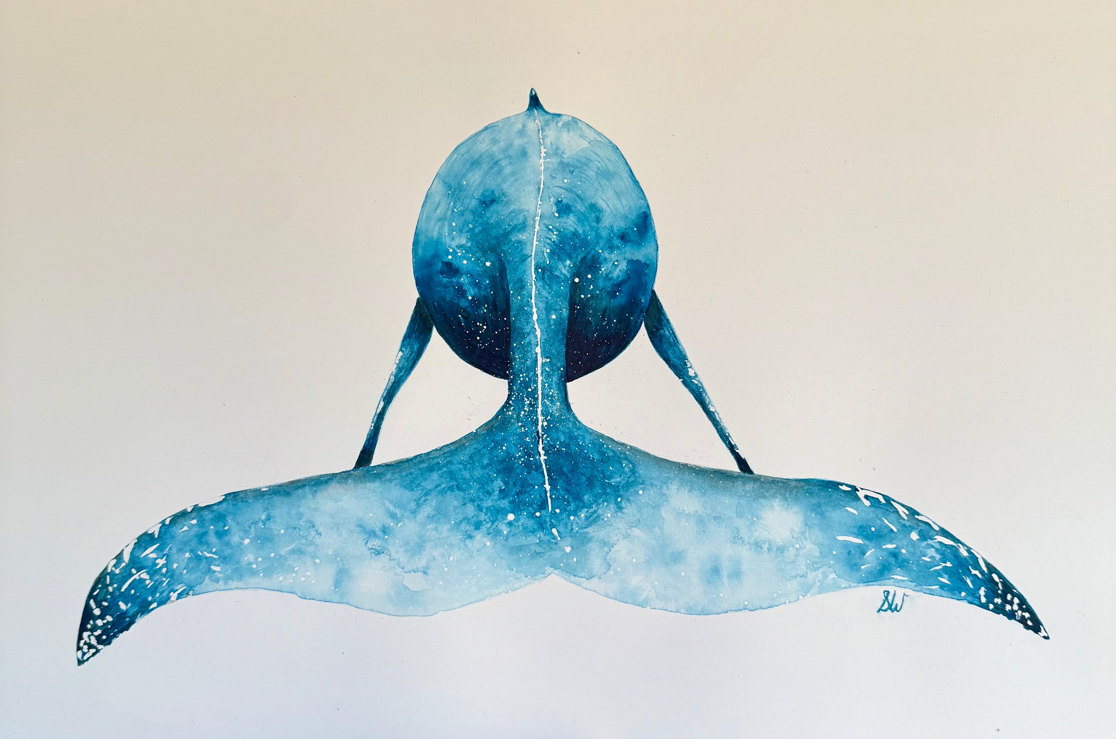Whale Tail