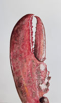 Claw Print