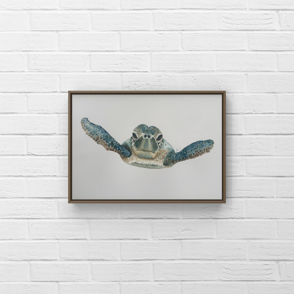 Turtle Print