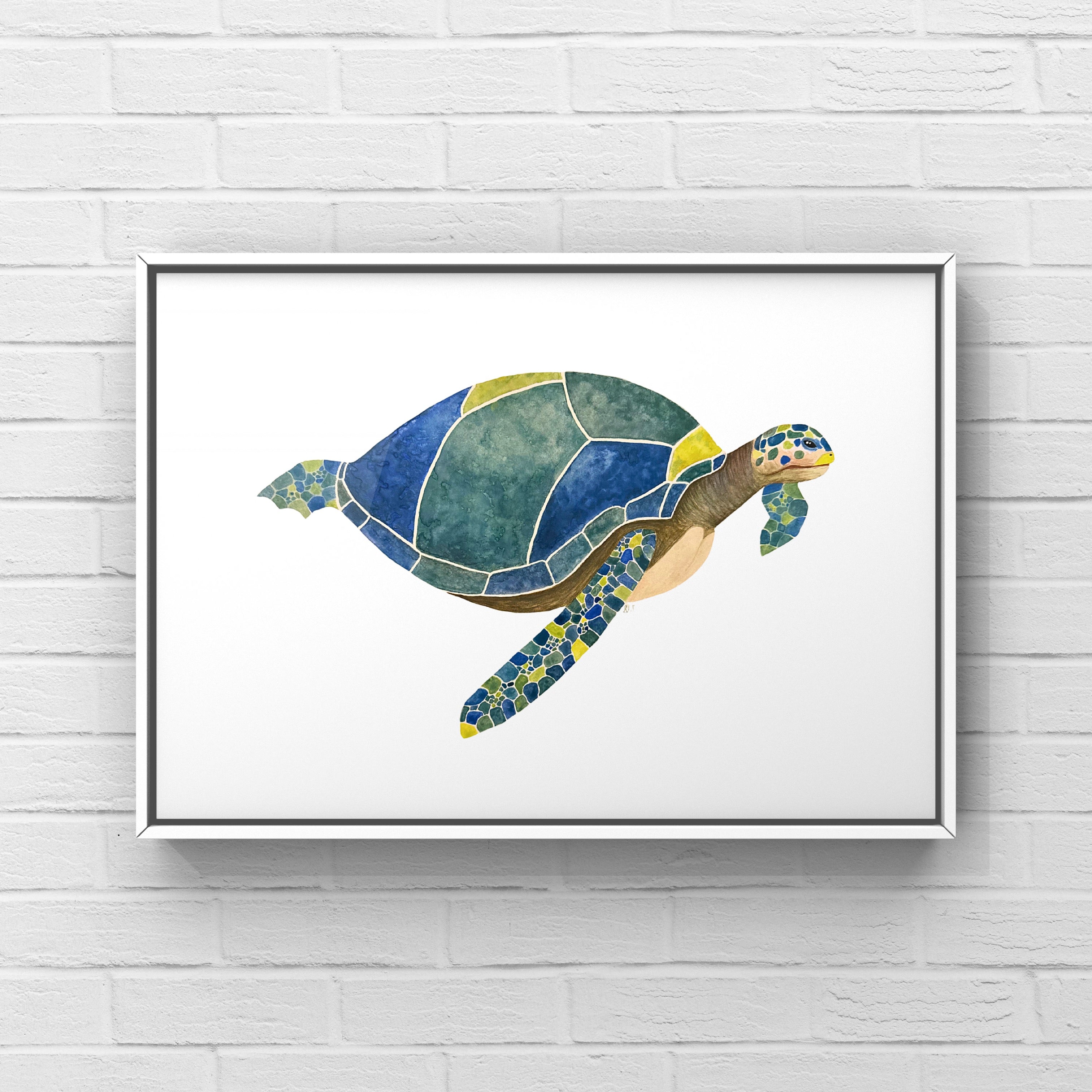 Turtle