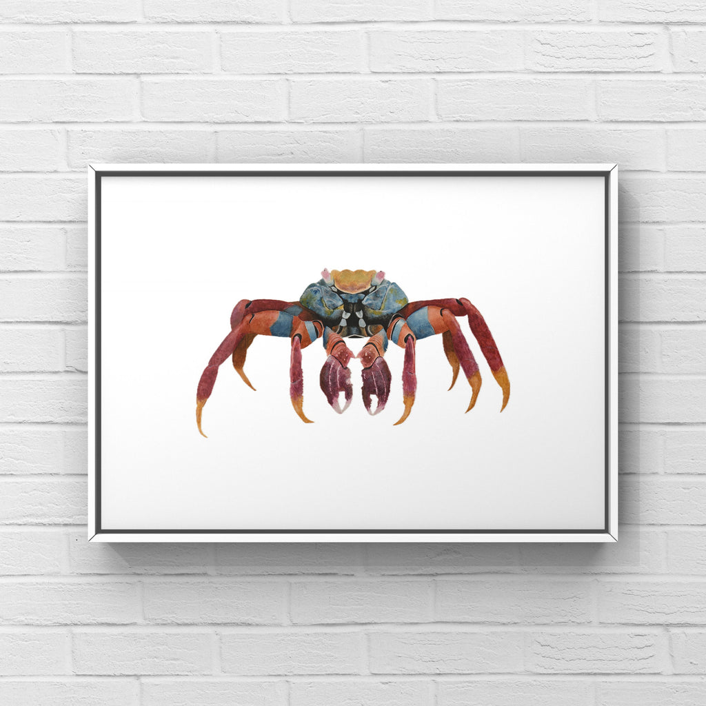 Crab Print