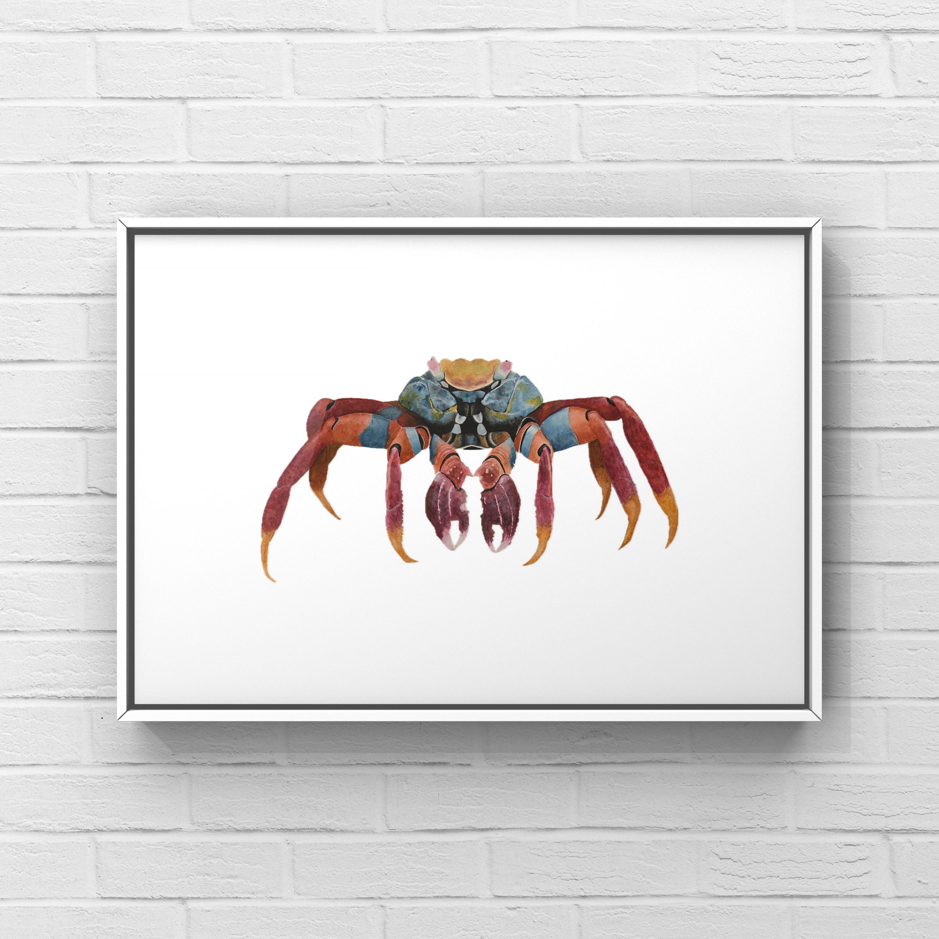 Crab Print