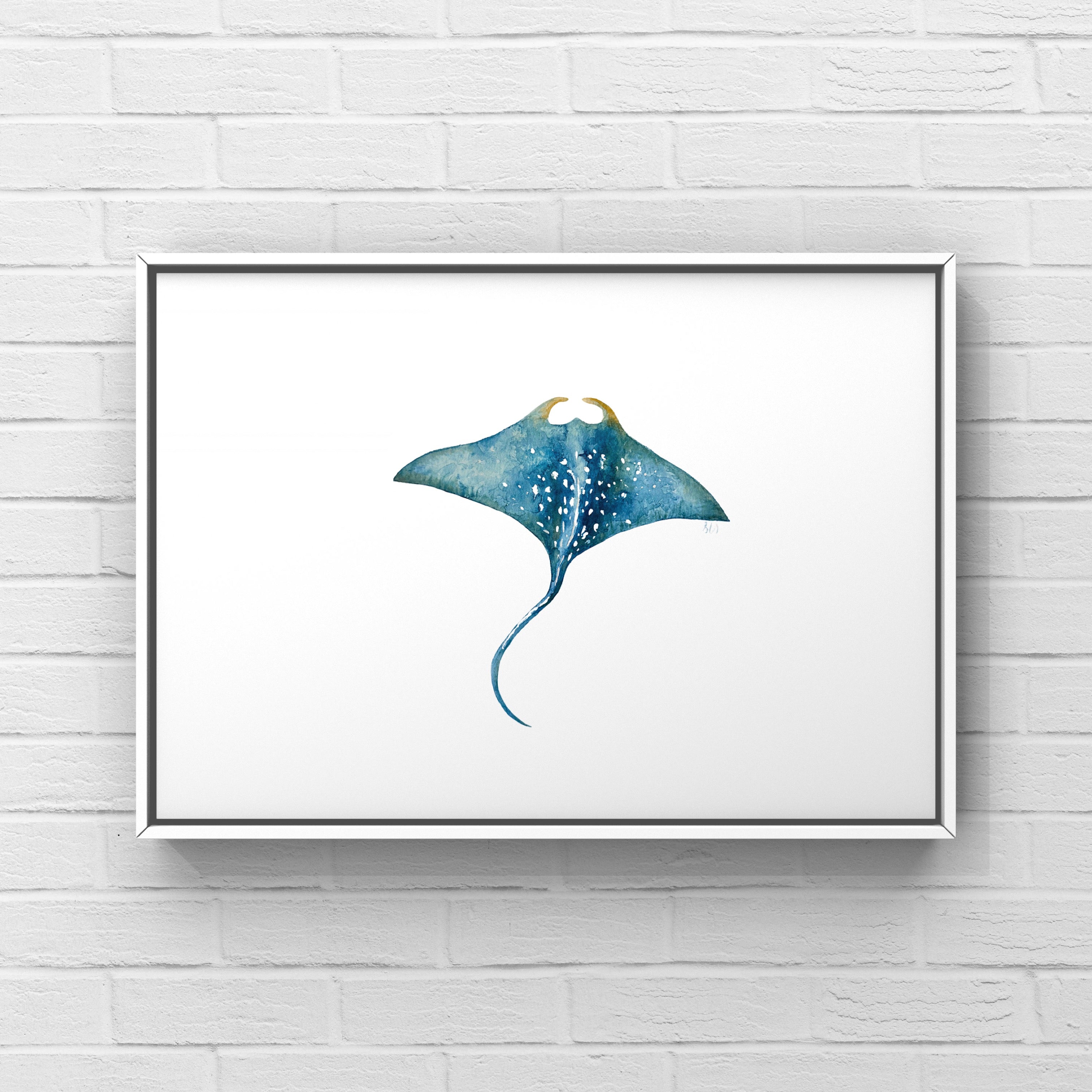 Ray
