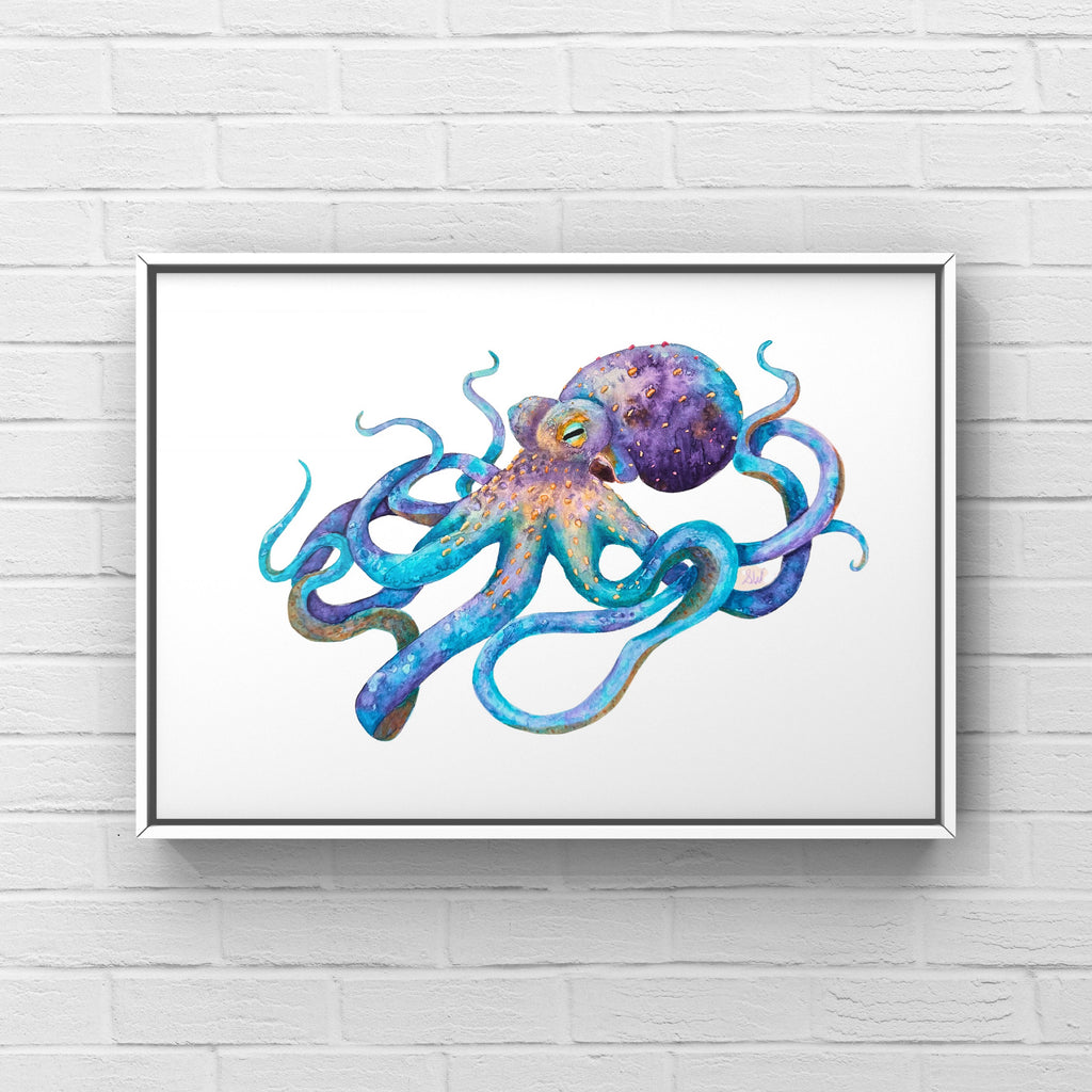 Octopus