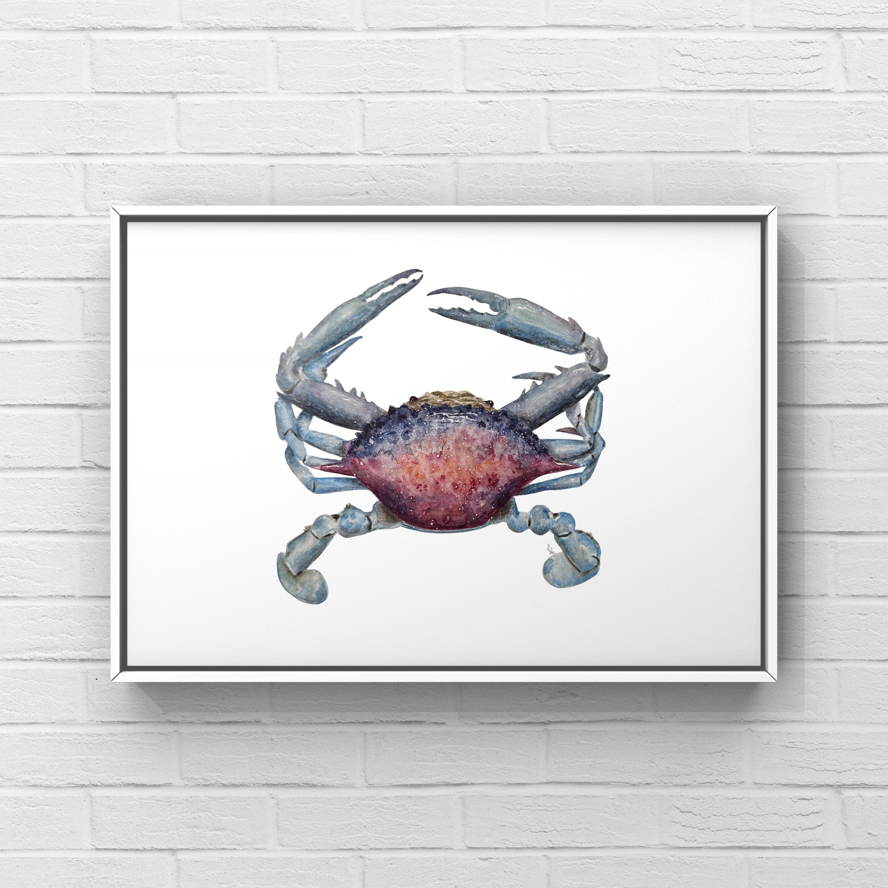 Crab