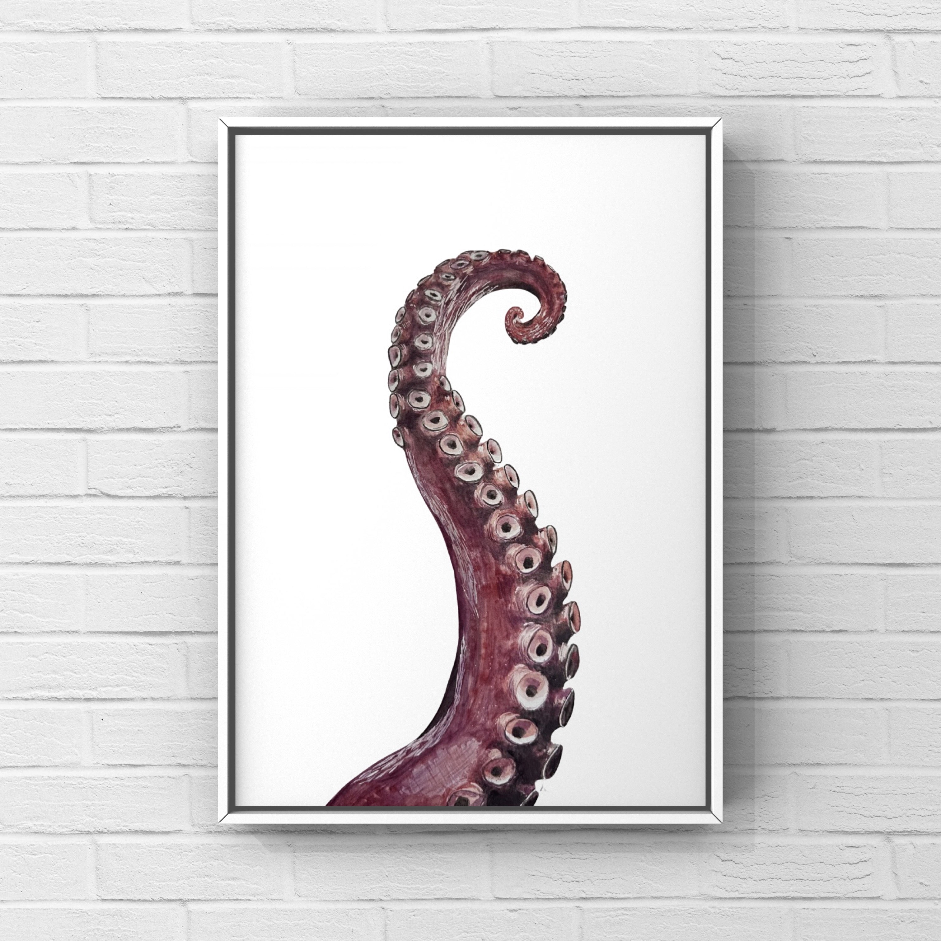 Octopus Arm