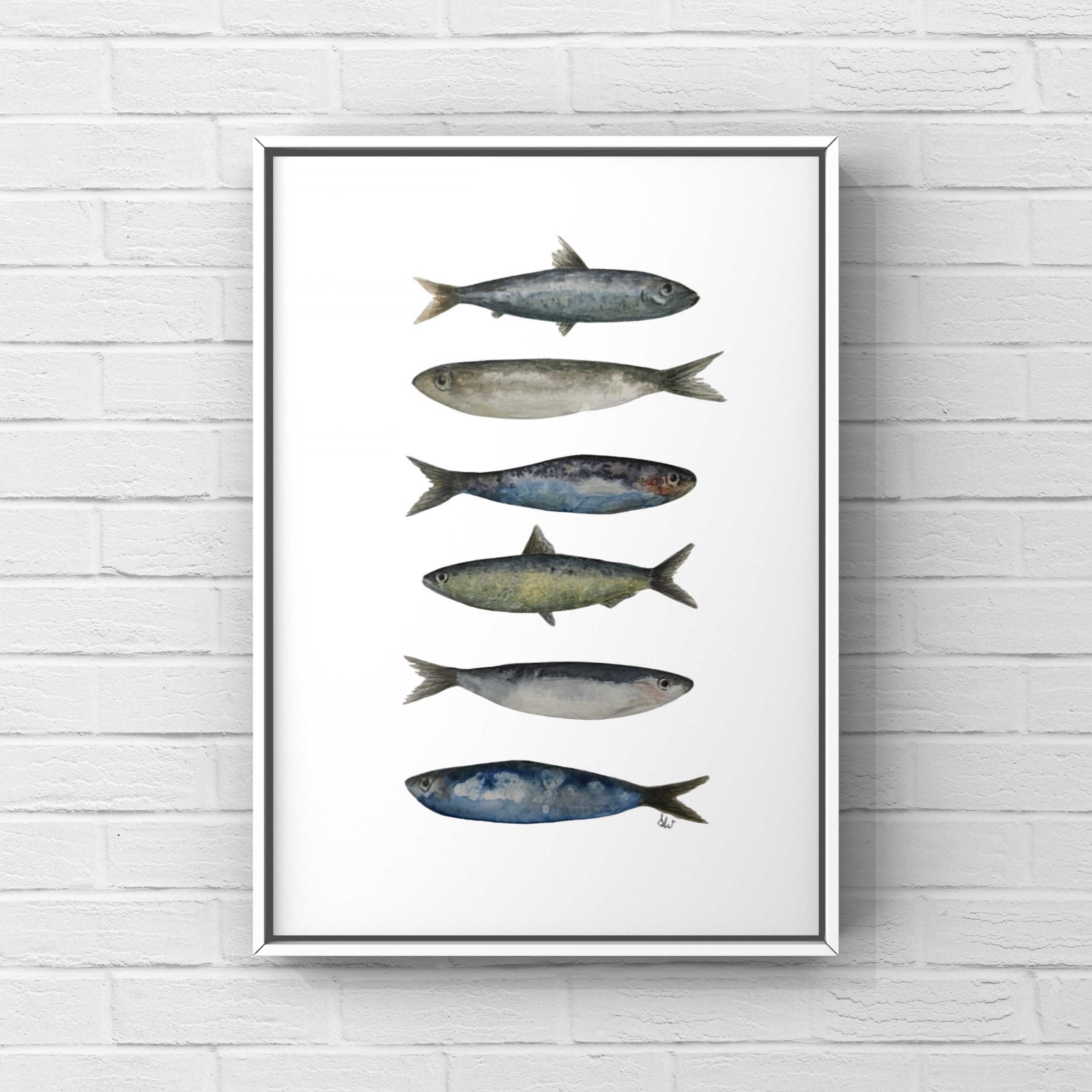 Fish