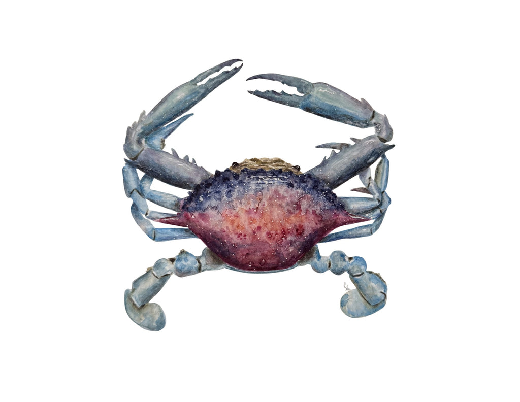 Crab