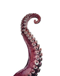 Octopus Arm