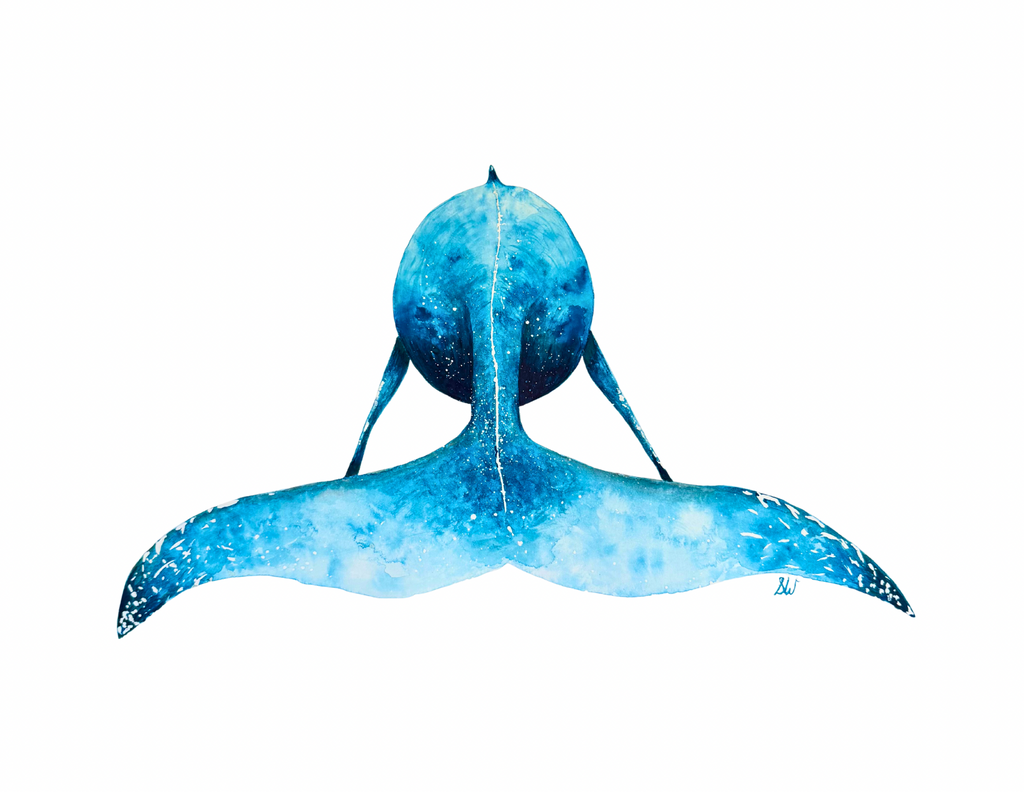 Whale Tail Print